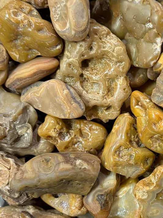 Mystery Rock Box; Crowley Agates and Lake Superior Assorted