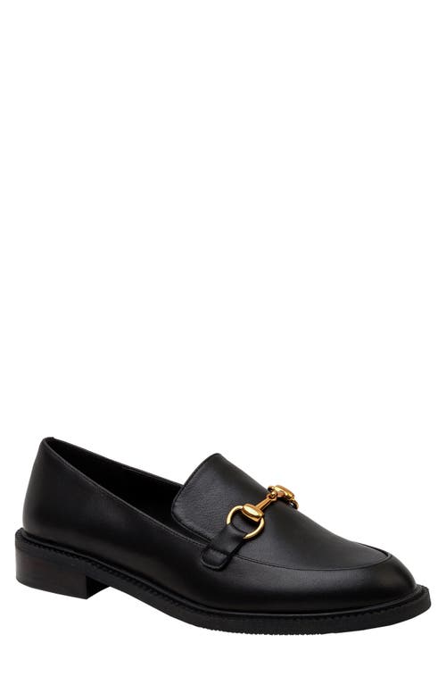 Lisa Vicky Zany Loafer in Black at Nordstrom, Size 8
