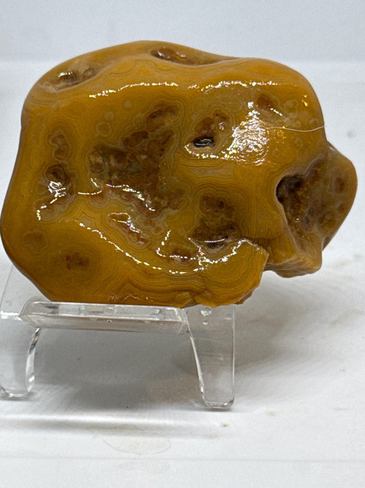 Honeycomb Heartbeat - 2.8 oz Mississippi Agate with Unique Botryoidal Texture