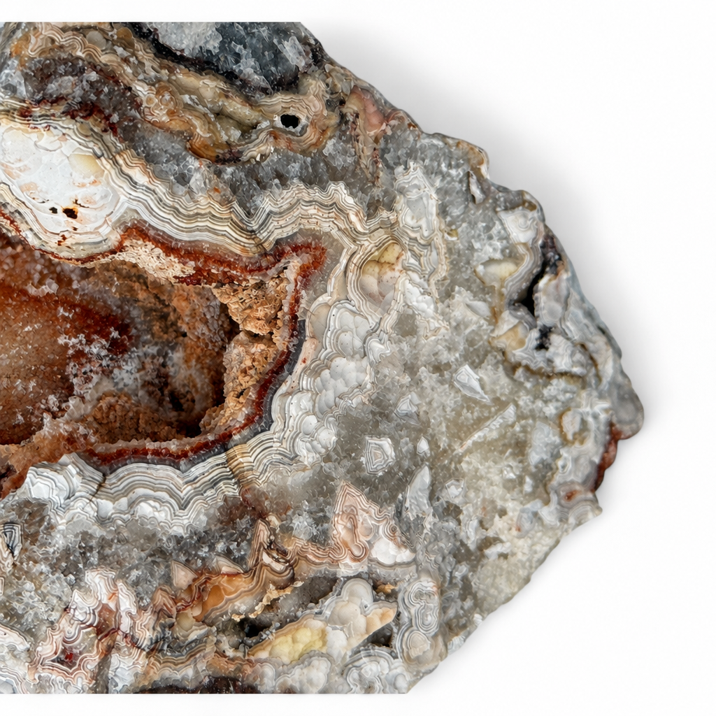 Crazy Lace Agate Rough Multi-Band Botryoidal Formation — Lapidary Rough Collector Specimen Mexico High Grade