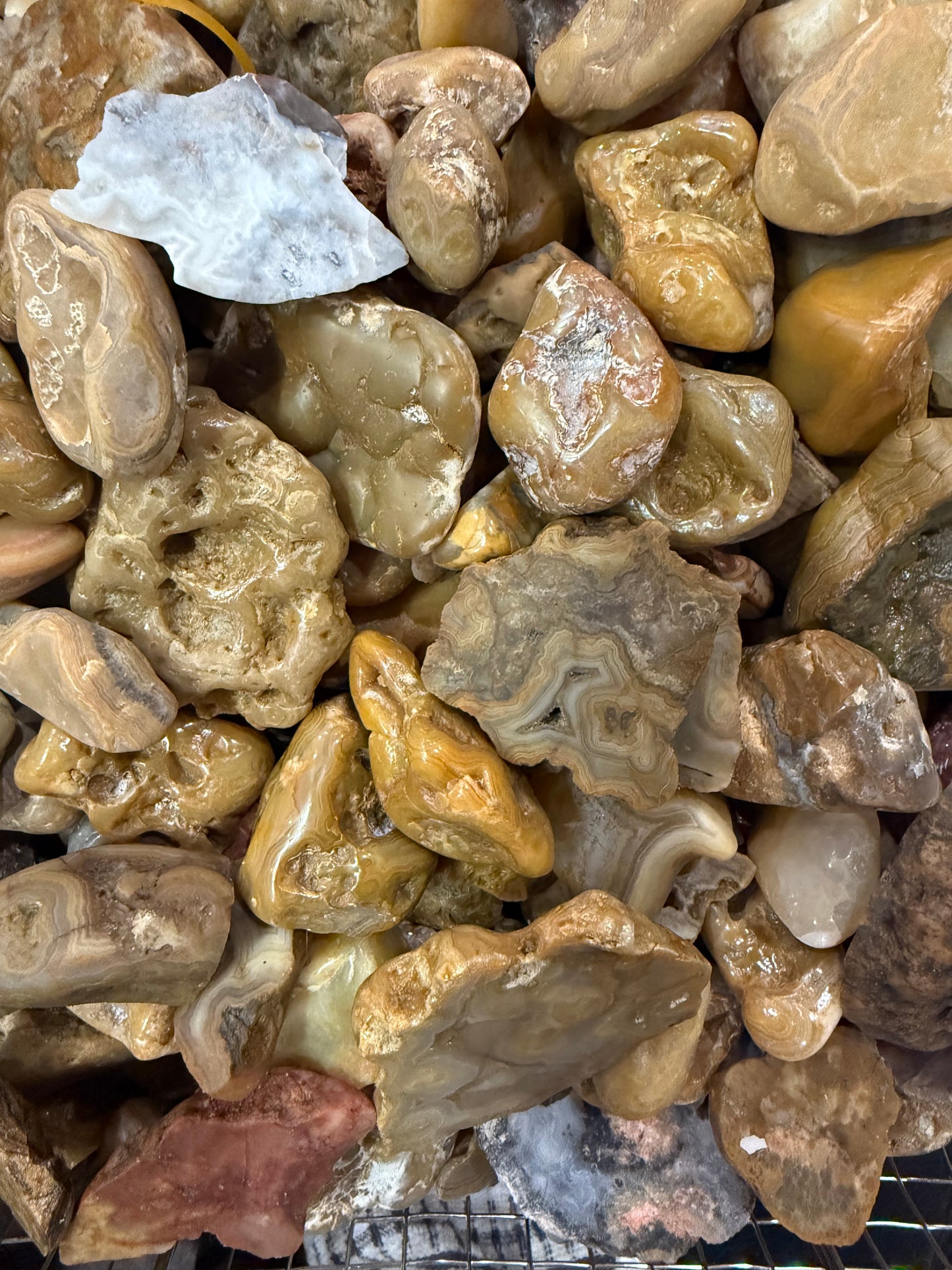 Mystery Rock Box; Crowley Agates and Lake Superior Assorted