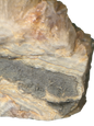 product · front view (img 2647)