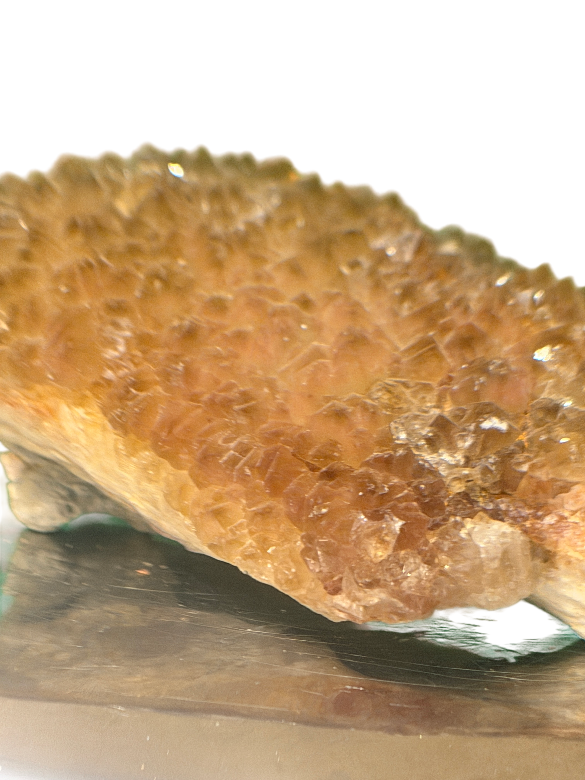product · side view (img 2645)