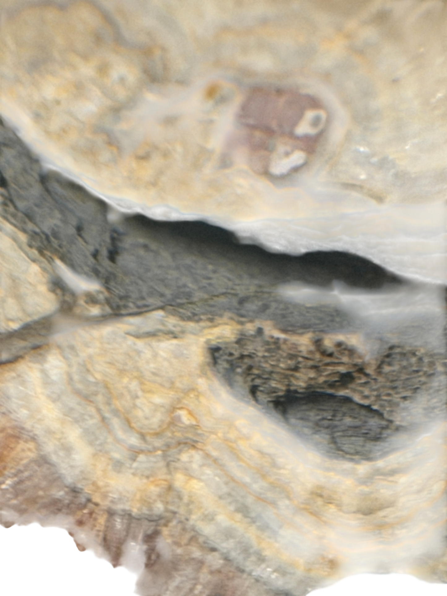 product · top-down view (img 2646)
