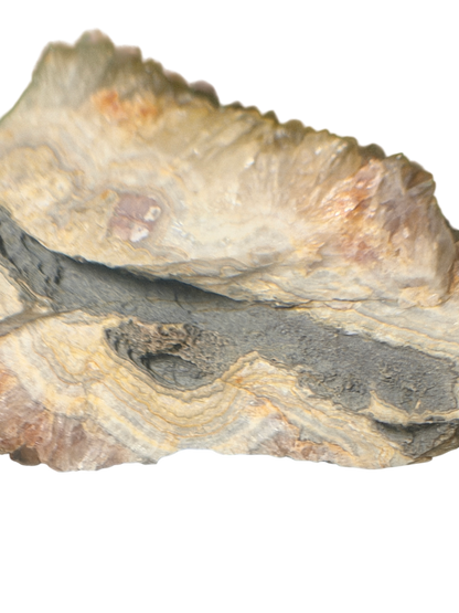 product · scale reference (img 2648)