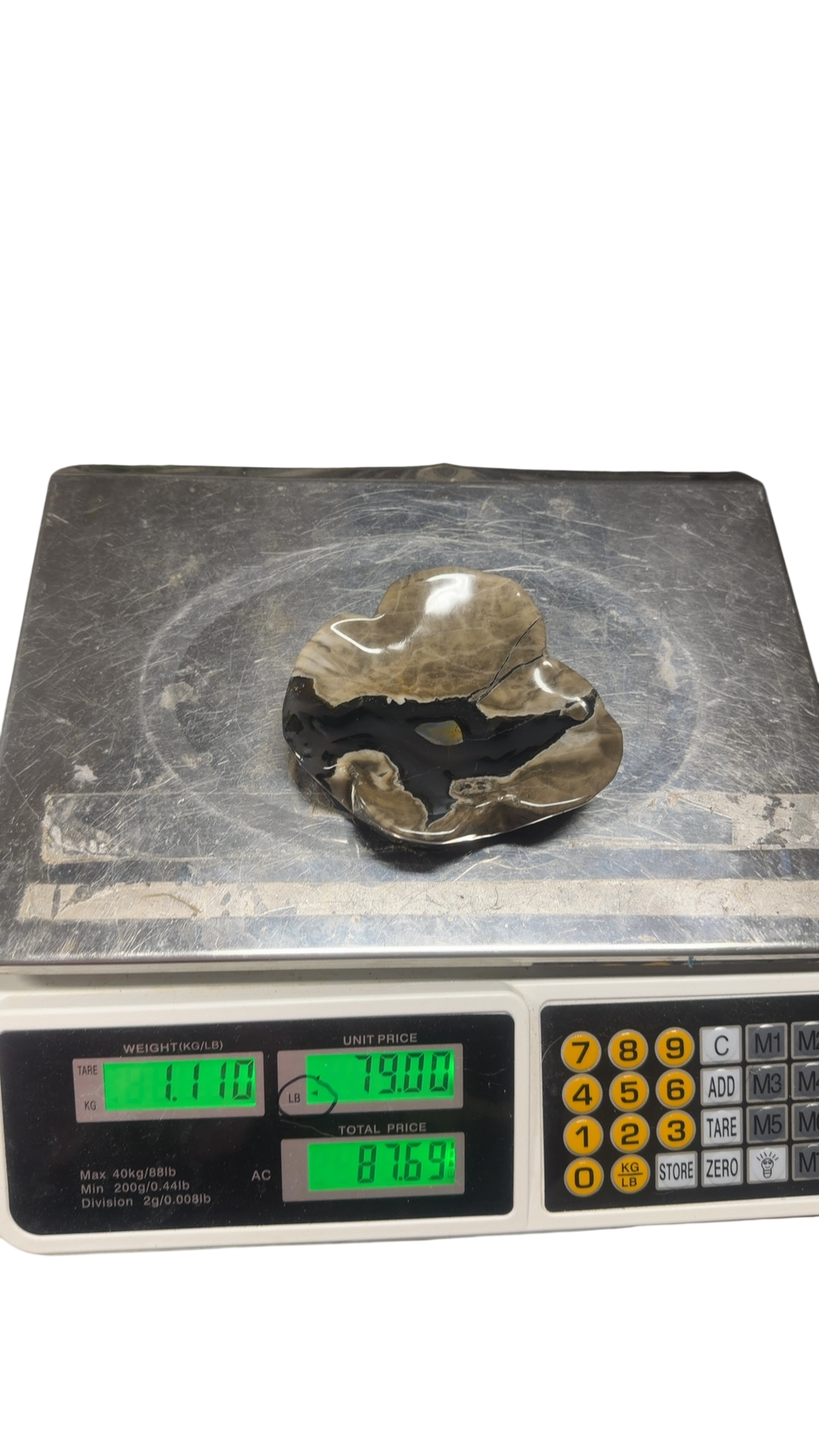product · front view (photo 2026 09 13t19 48 03 825z)