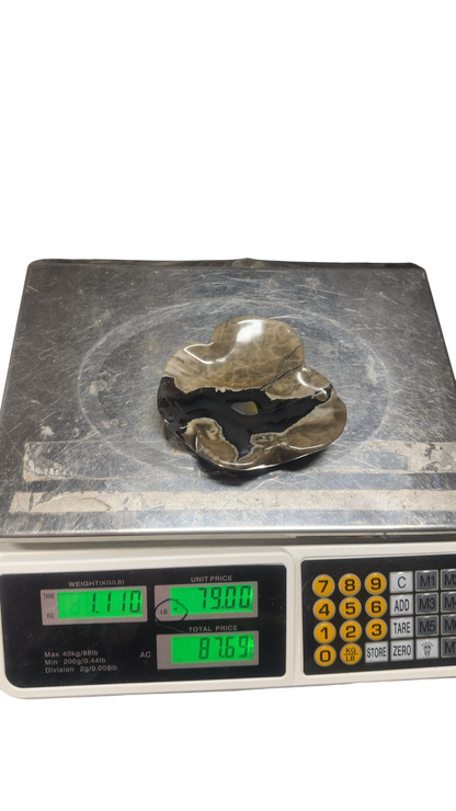 product · front view (photo 2026 09 13t19 48 03 825z)