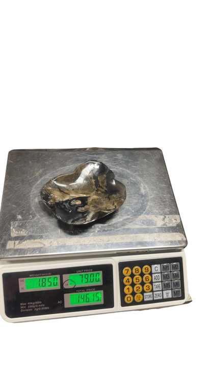 product · front view (photo 2026 09 13t19 55 08 110z)