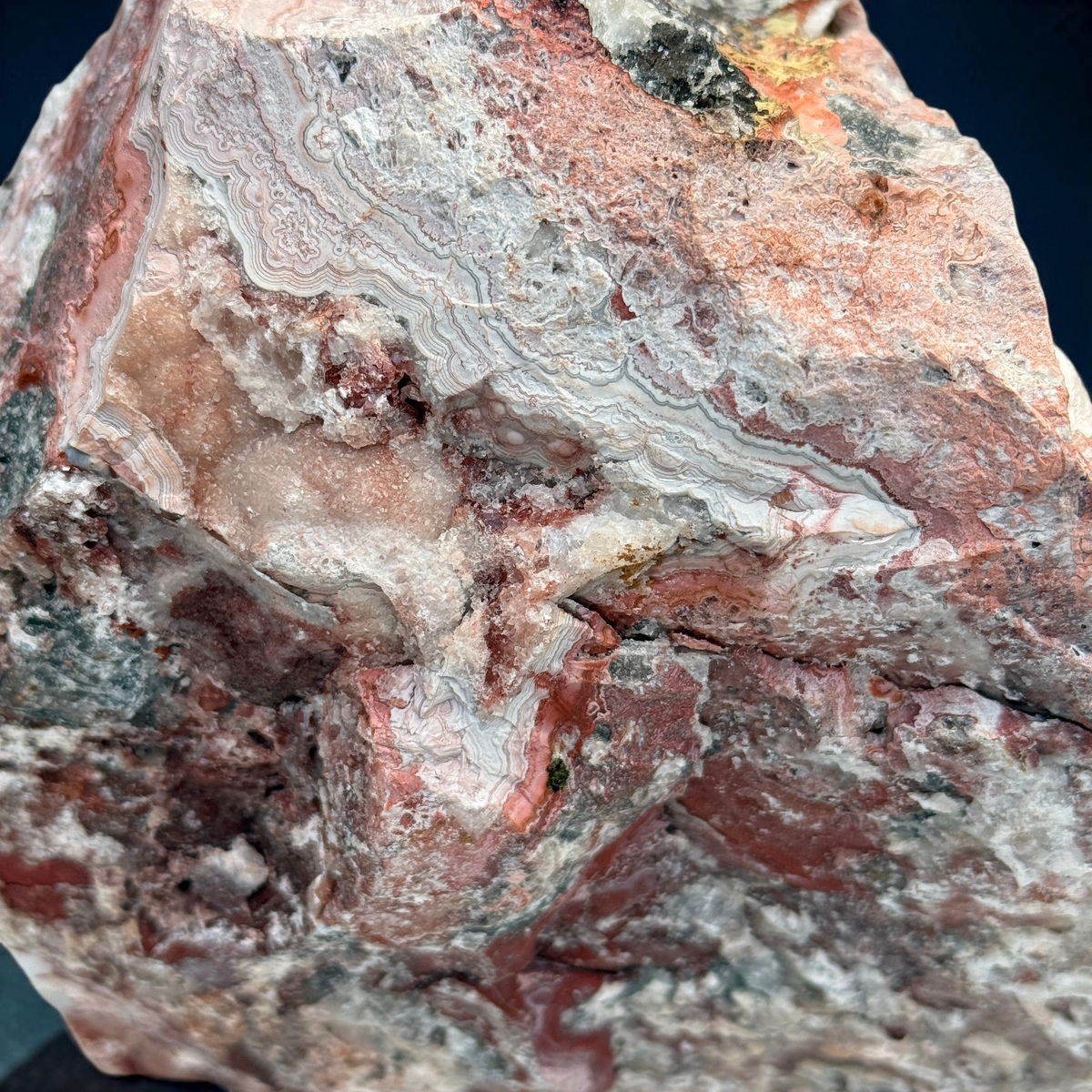 Crazy Lace Agate Rough Specimen Multi-Mineral Matrix — Large Cabinet Piece Lapidary Rough Collector Grade — styled