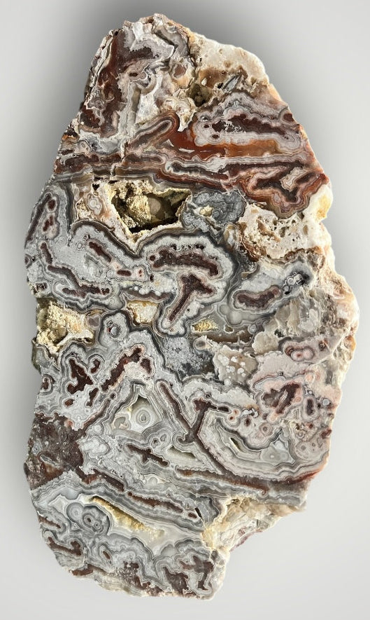 zExclusive 9 lb Mexican Crazy Lace Agate Statement Sculpture — polished detail view