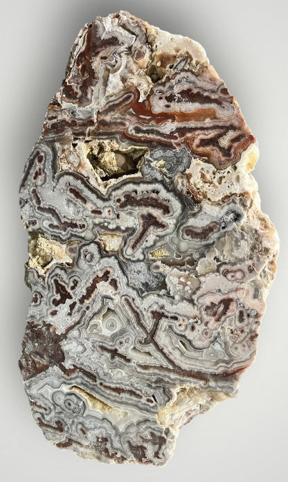 zExclusive 9 lb Mexican Crazy Lace Agate Statement Sculpture — polished detail view