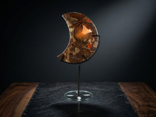 ZExclusive Crescent Moon Ammonite Fossil Slice luxury hero image