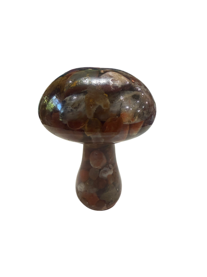 product · front view (img 2457)