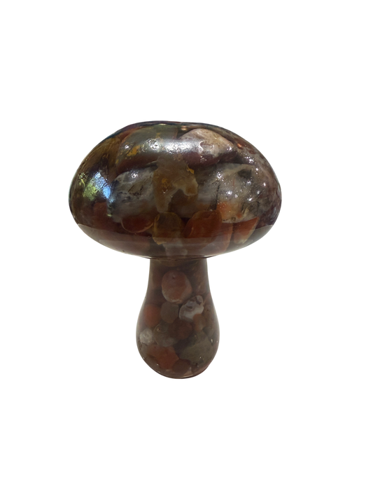 product · front view (img 2457)