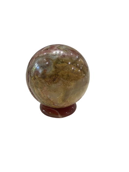 product · detail view (img 2460)