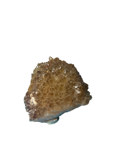 product · side view (image)