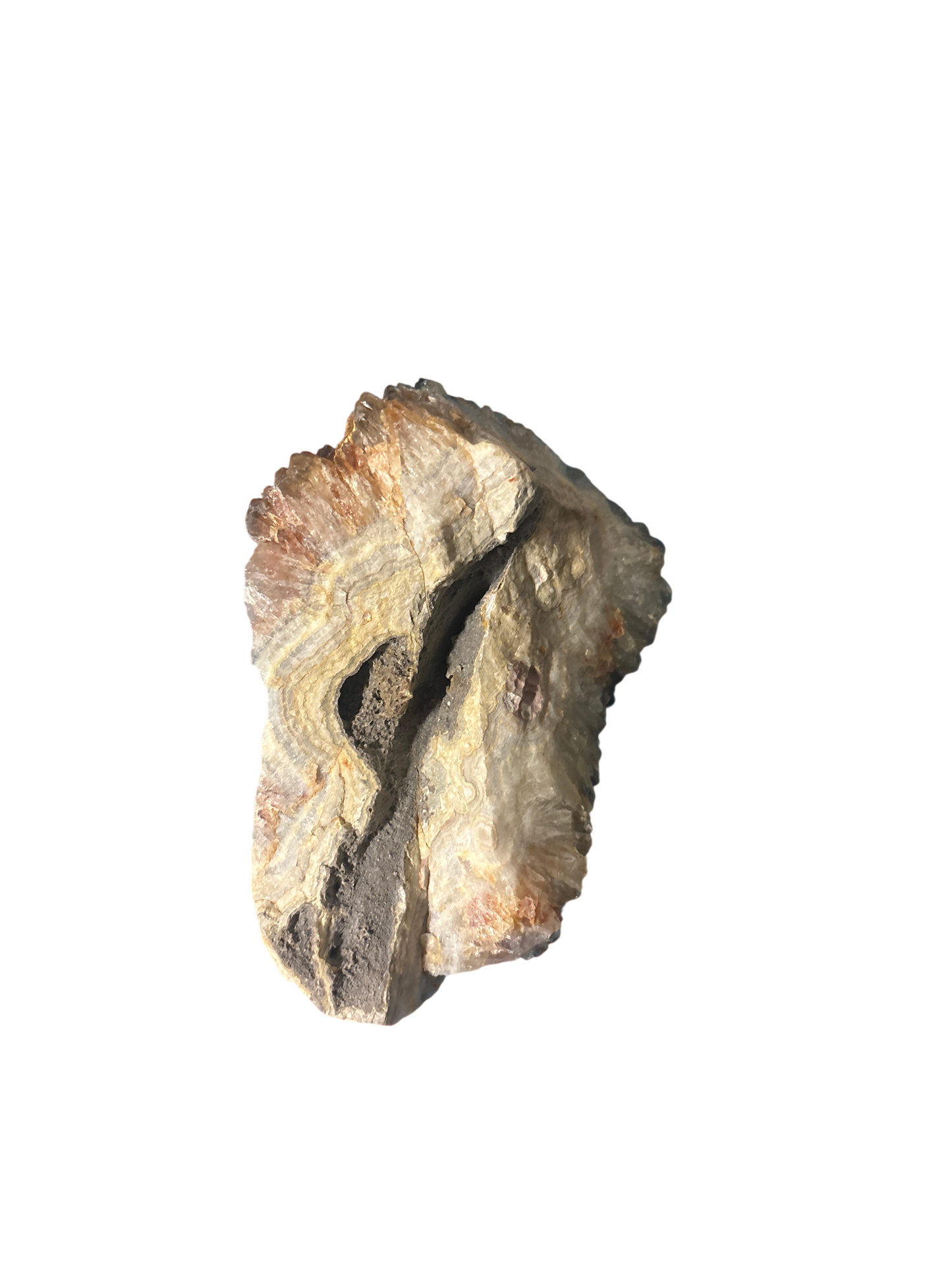 product · top-down view (image)