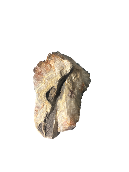 product · top-down view (image)