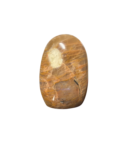 product · front view (image)