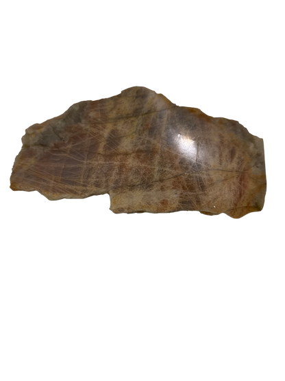 product · top-down view (image)