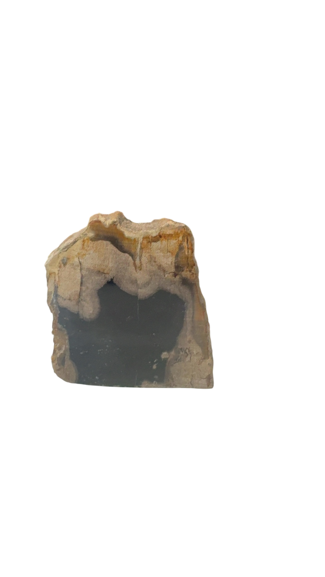 product · front view (photo 2026 07 15t18 56 59 652z)