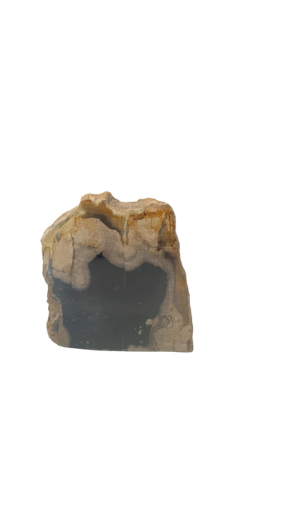 product · front view (photo 2026 07 15t18 56 59 652z)