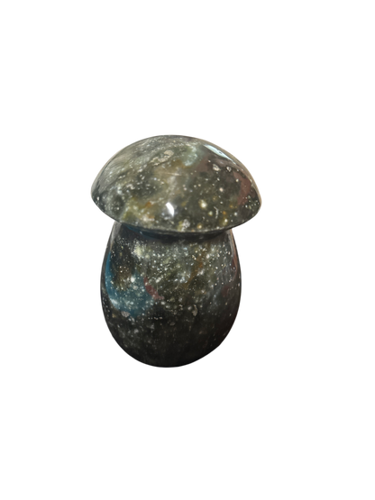 product · top-down view (image)