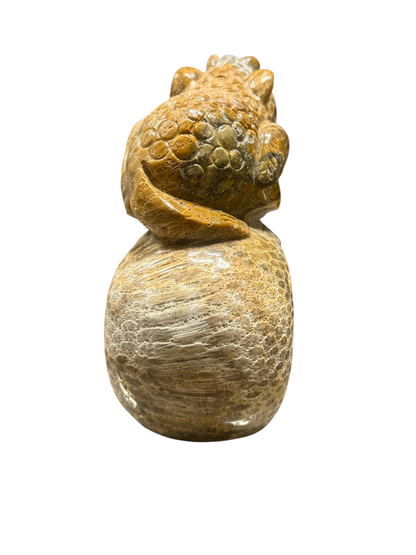 product · detail view (img 2964)