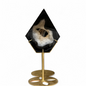 Black Agate Geode Slab Diamond-Cut Polished Specimen with Druzy Quartz Interior — Collector Display Piece Cabinet Grade — back view