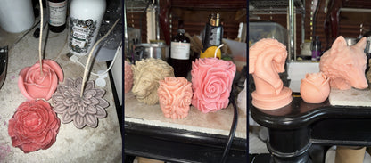 EnZebra botanical wax melt and sculptural candle gallery