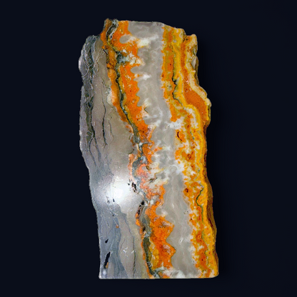 Garland Workshop & Lapidary Bumblebee Jasper Polished Slab — Collector Lapidary Specimen Indonesia Vivid Banded Cabinet Piece
