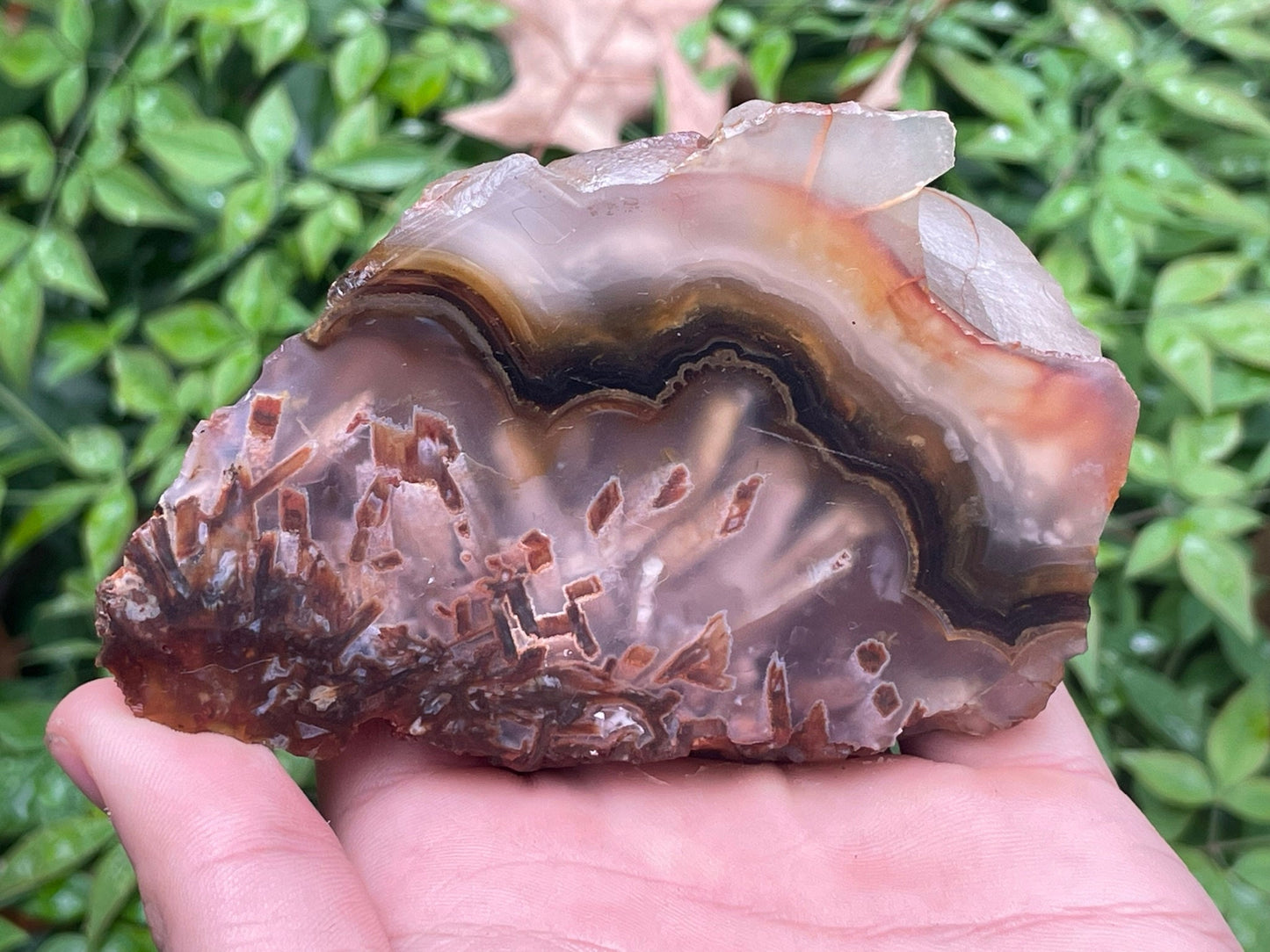 Turkish Agate
