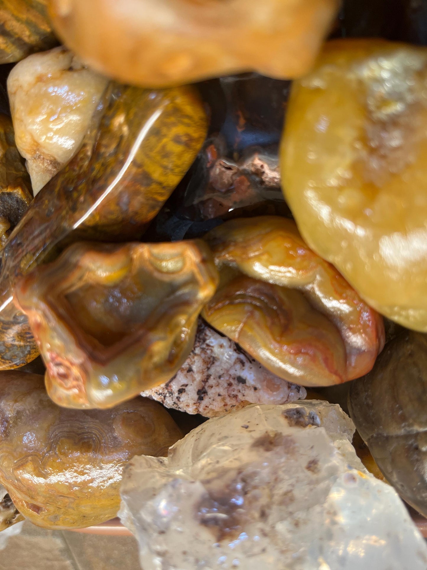 Mystery Rock Box; Crystals, Minerals, Slabs and more!