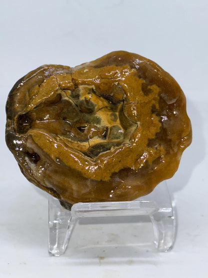 Crown of the Deep – 3.4 oz Unpolished Turkish Agate Specimen | Natural Cavity Stone