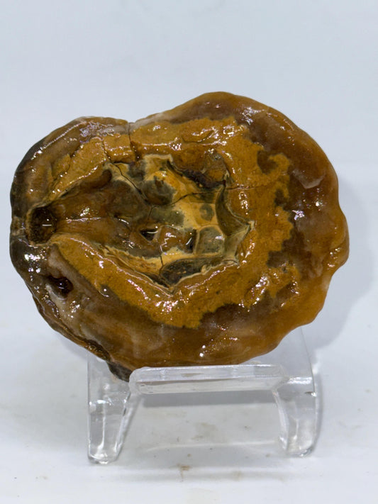 Crown of the Deep – 3.4 oz Unpolished Turkish Agate Specimen | Natural Cavity Stone