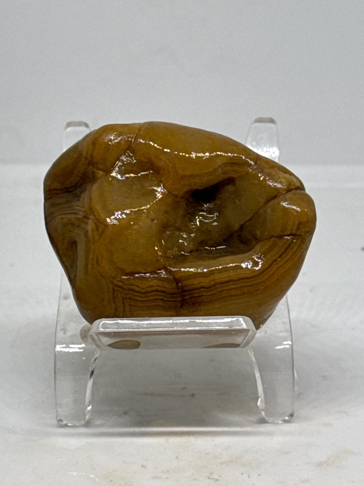 Yellow Rifts - 2.4 oz Mississippi Crowley Ridge Agate – Natural Banding with Pocket Formation