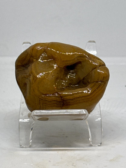 Yellow Rifts - 2.4 oz Mississippi Crowley Ridge Agate – Natural Banding with Pocket Formation