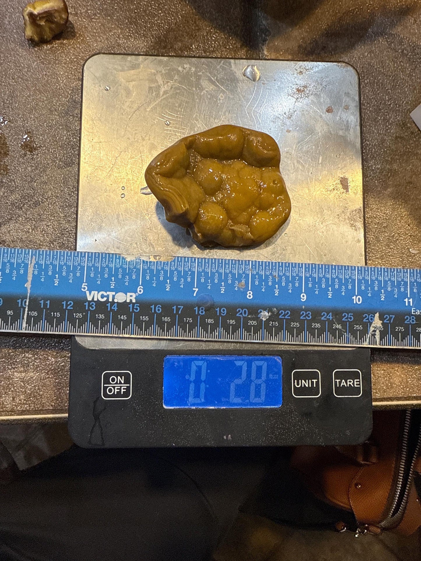 Honeycomb Heartbeat -  2.8 oz Mississippi Agate with Unique Botryoidal Texture