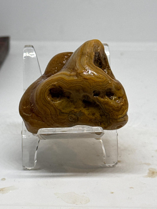 Holy Moly - Agate with Natural Vug and Tower Formation – 2.5 oz Collectible