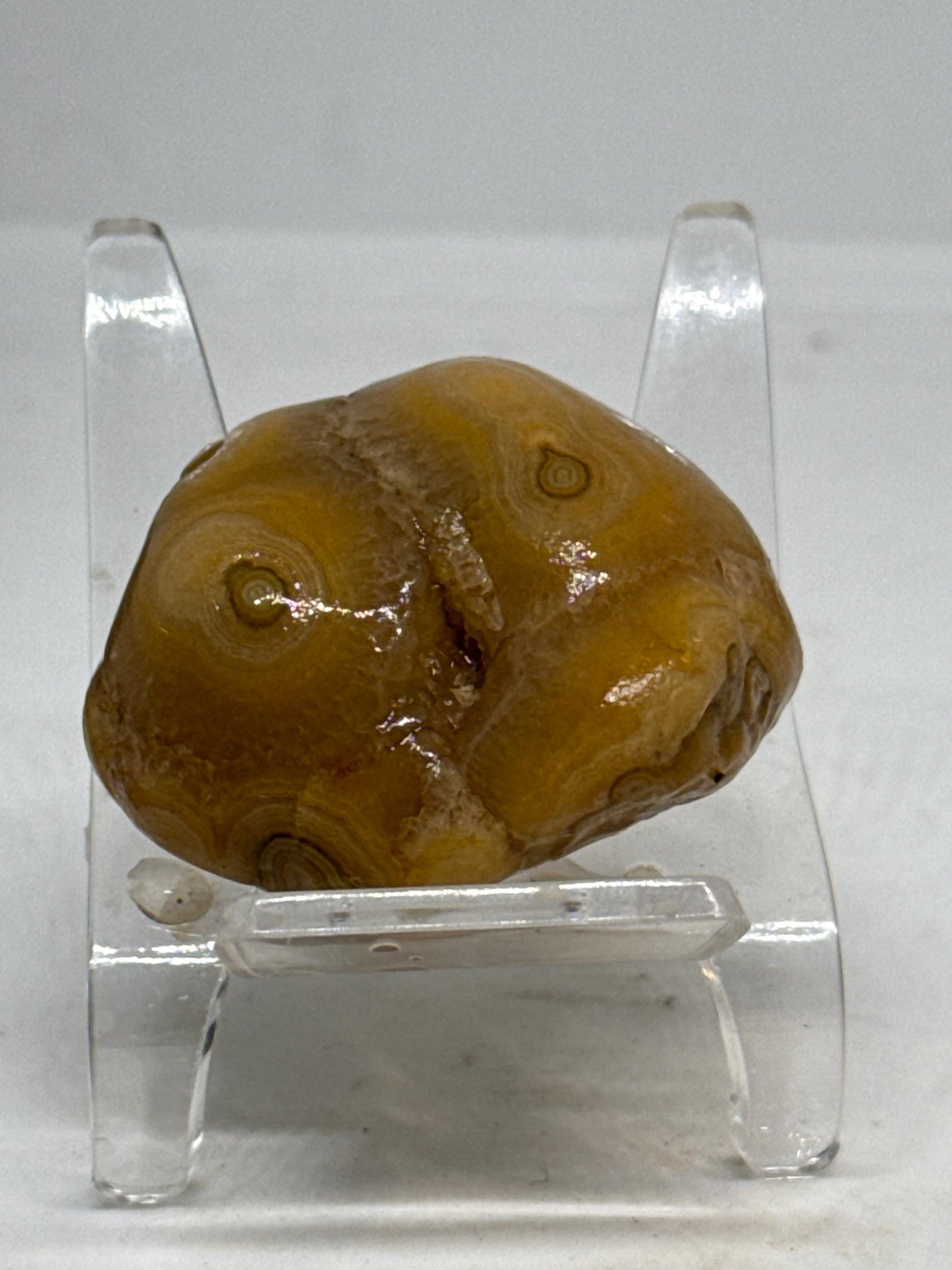 Golden Cyclone Unpolished Turkish Agate – 1.6 oz Collector’s Specimen