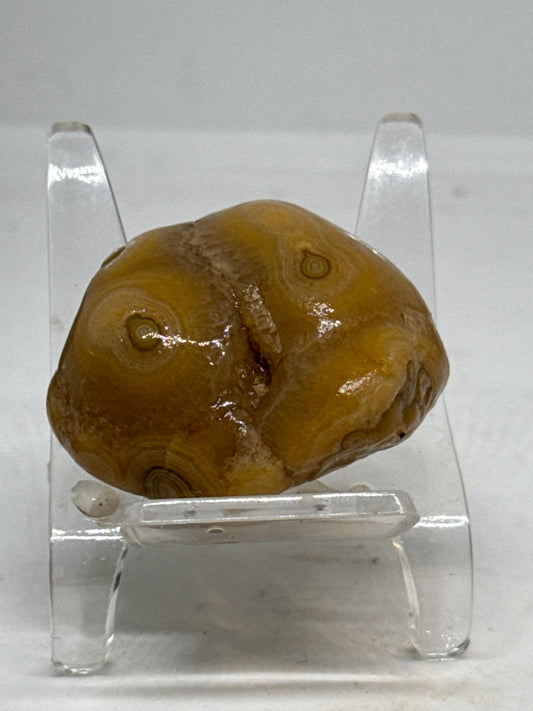 Golden Cyclone Unpolished Turkish Agate – 1.6 oz Collector’s Specimen