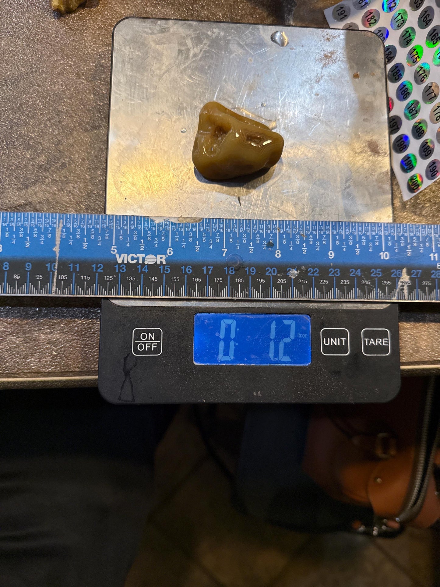 Honey Hallow - Mississippi Agate – 1.2 oz Natural Banded Beauty with Cavity Detail