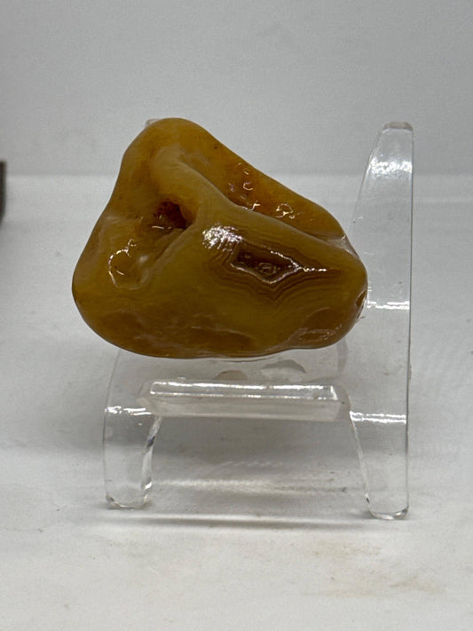 Honey Hallow - Mississippi Agate – 1.2 oz Natural Banded Beauty with Cavity Detail