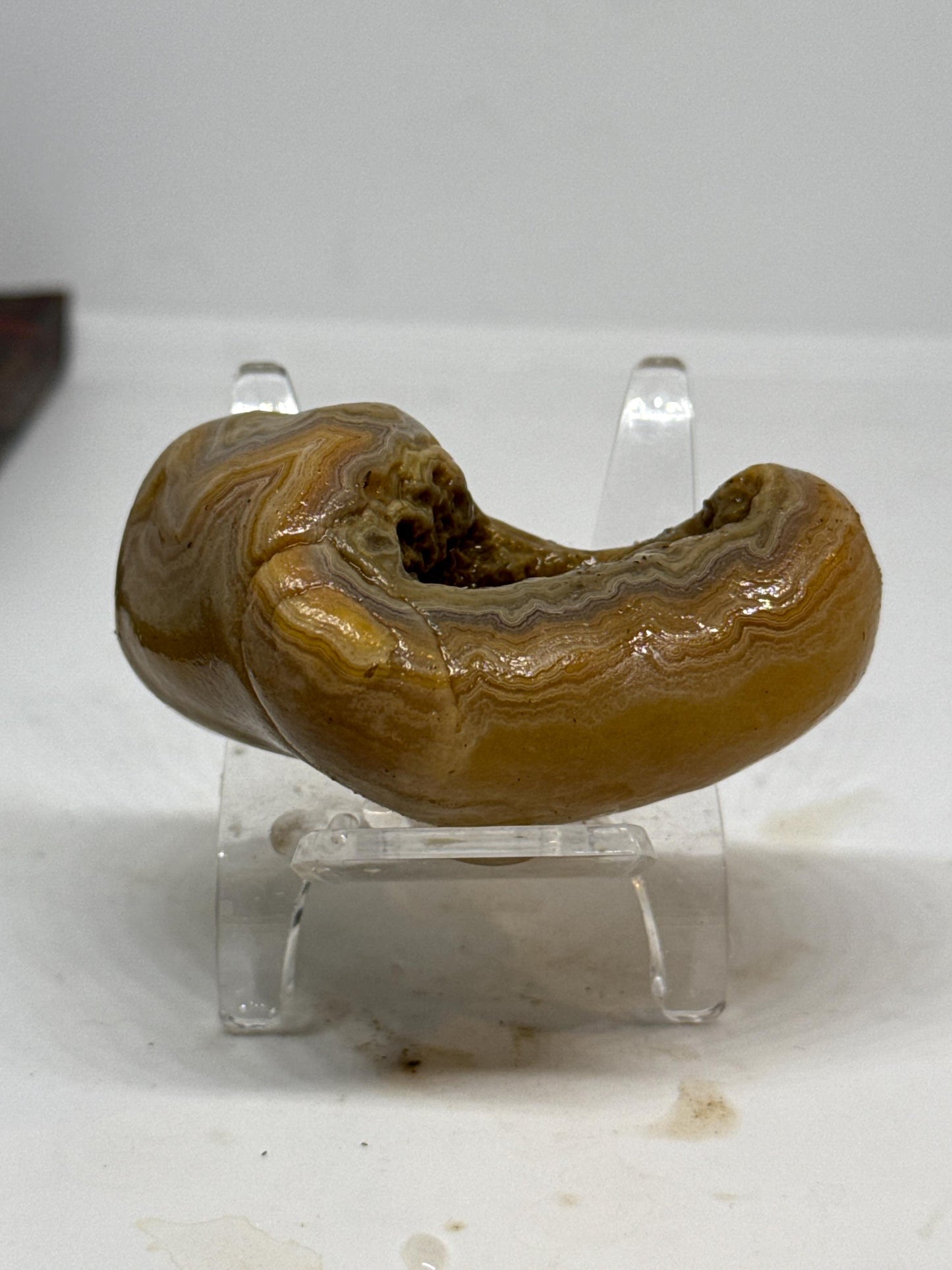 Natural Mississippi Agate | 3.2 oz Unpolished Geode Specimen