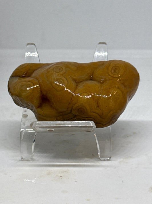 Golden Swirl | Mississippi Agate – 2.4 oz Collector’s Specimen