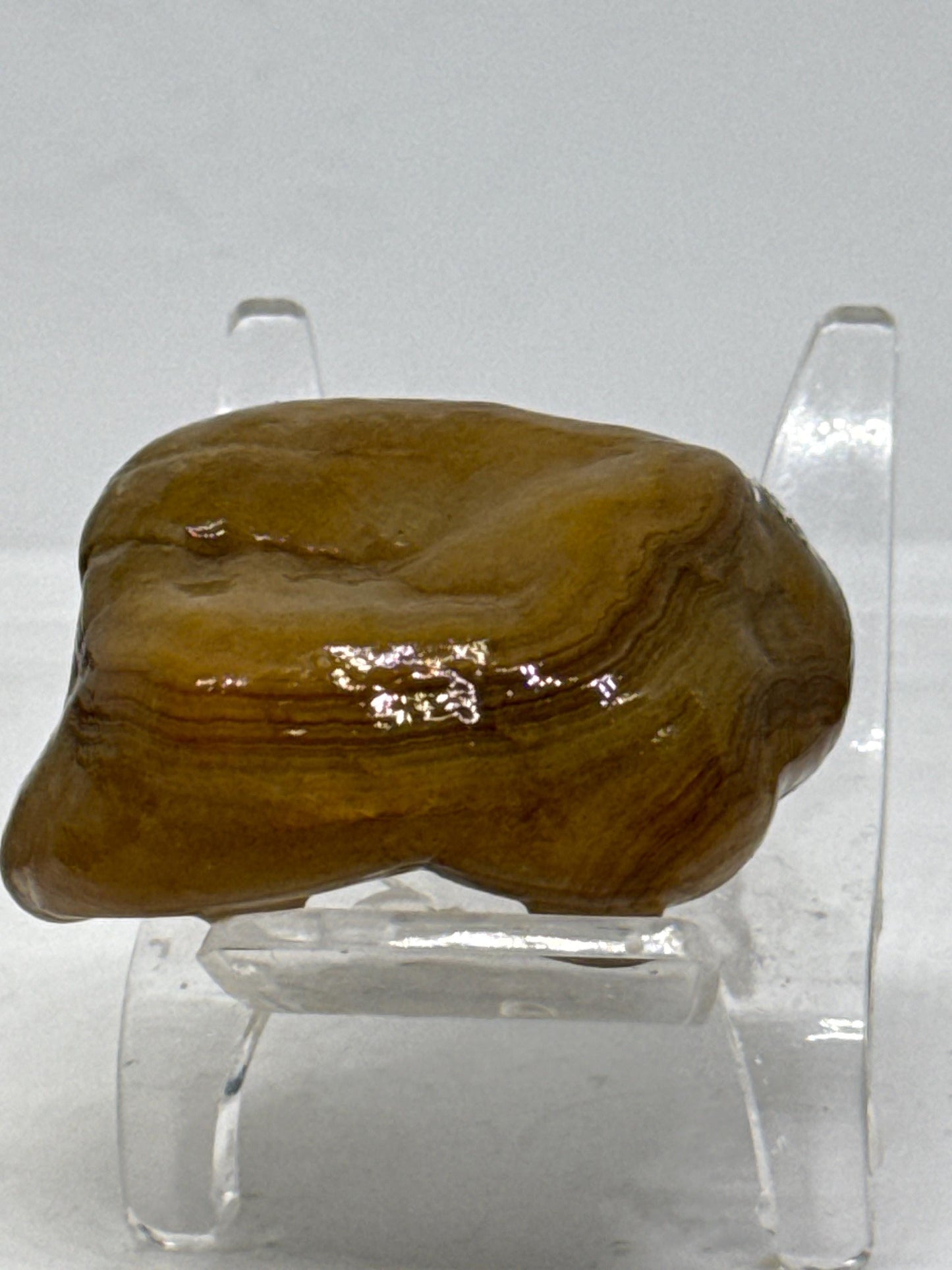 Yellow Rifts - 2.4 oz Mississippi Crowley Ridge Agate – Natural Banding with Pocket Formation