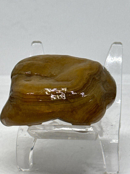 Yellow Rifts - 2.4 oz Mississippi Crowley Ridge Agate – Natural Banding with Pocket Formation