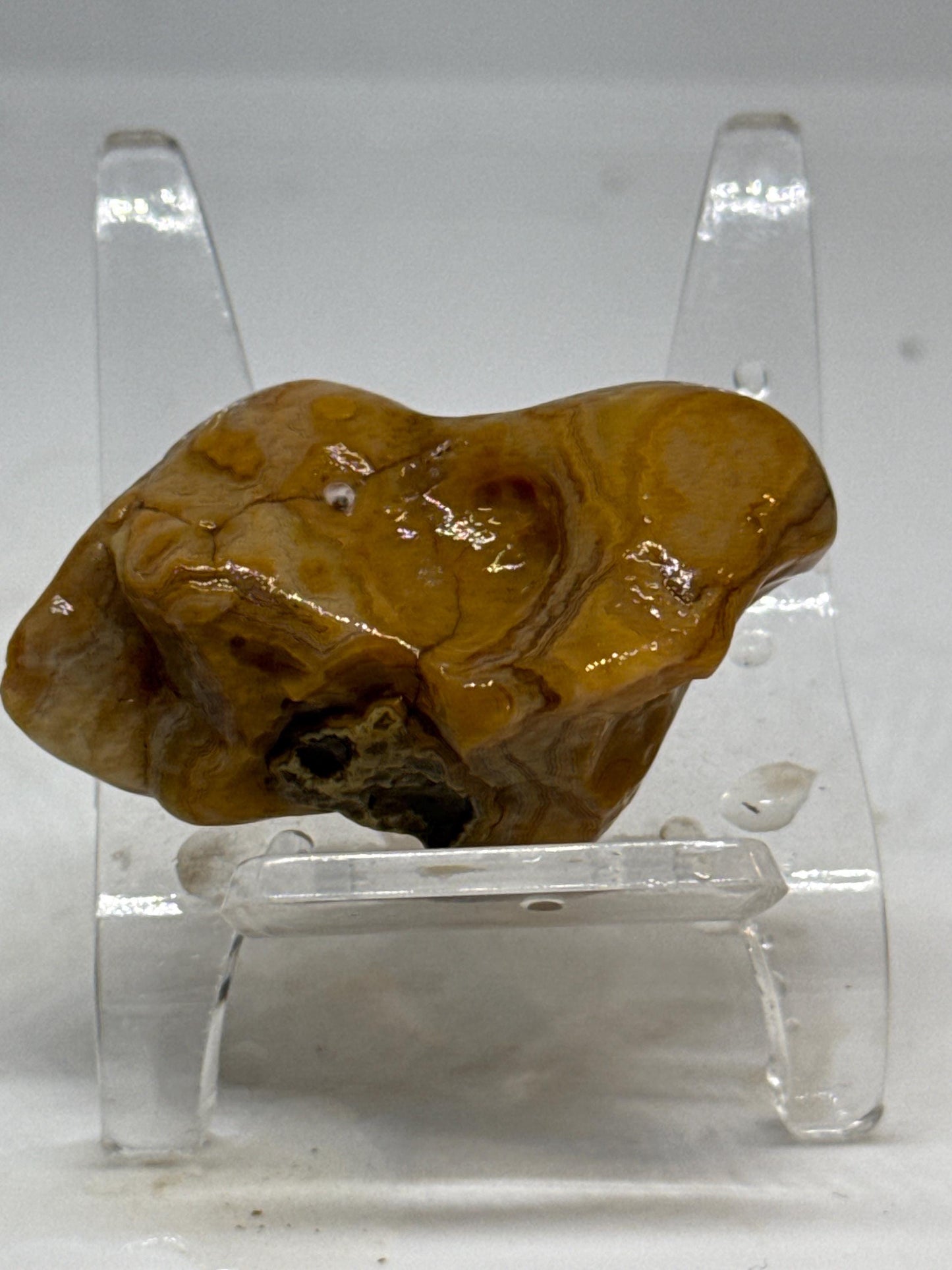 Golden Bloom – 1 oz Mississippi Agate with Natural Botryoidal Surface