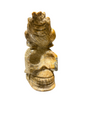 Zebra Industries, LLC hand-carved fossilized coral sculpture featuring a frog perched on a detailed human skull.