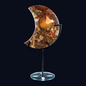 zExclusive ZExclusive Crescent Moon Ammonite Fossil Slice on Black Metal Stand